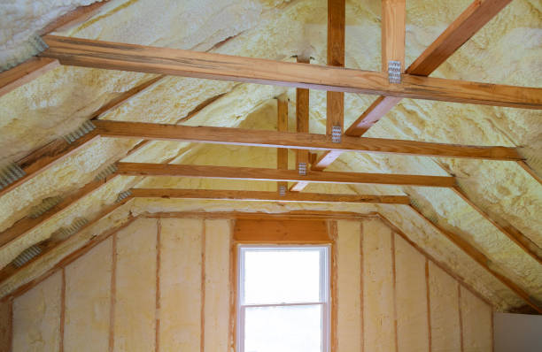 Best Geographic-Specific Insulation Services in Highland Beach, FL